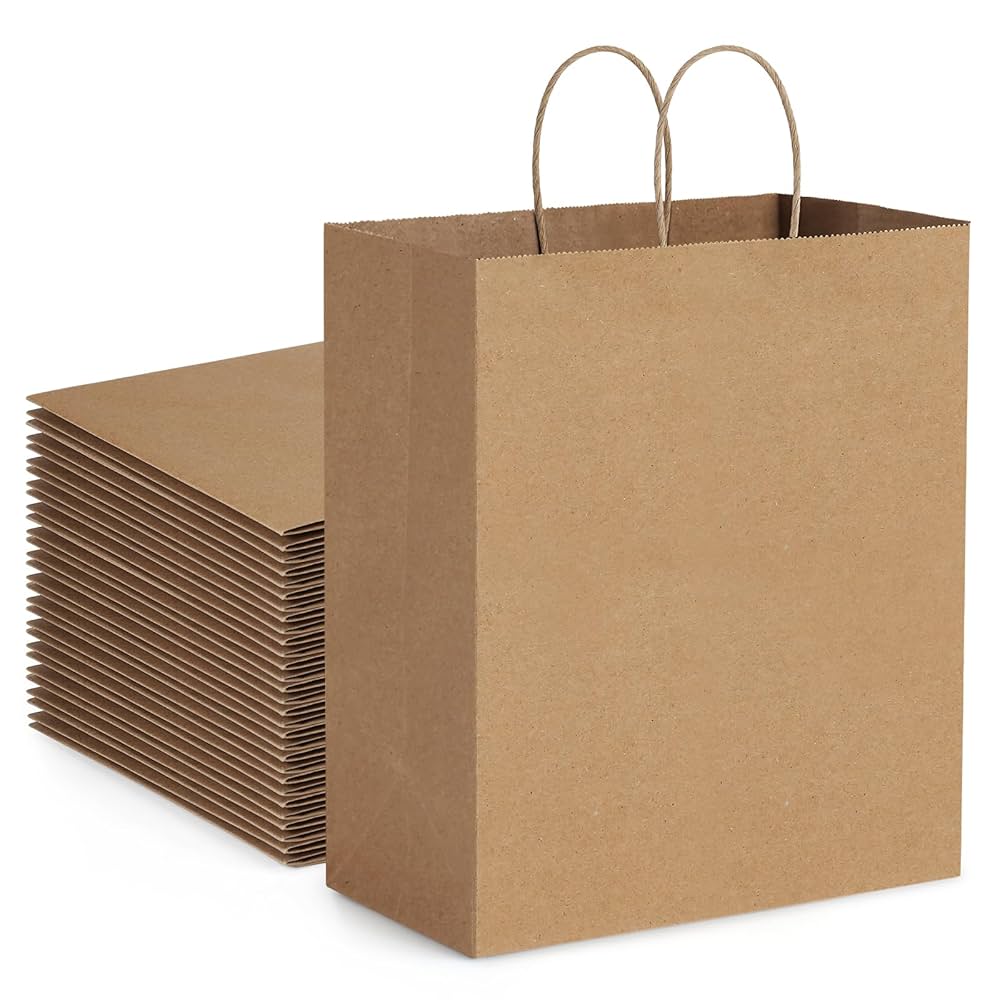 Paper Bags w/ Handles - Medium (BSM)