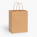 Paper Bags w/ Handles Large - (BSL)