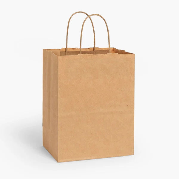 Paper Bags w/ Handles Large - (BSL)